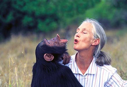 Jane Goodall Board of Director on the National Institute For Play