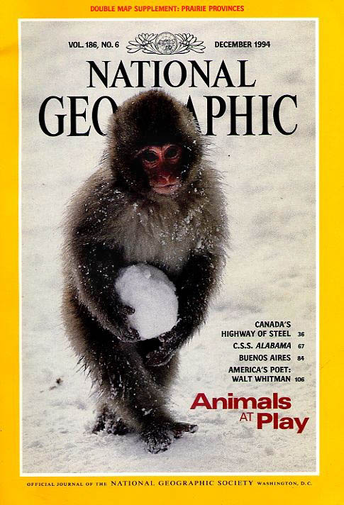 Cover of National Geographic showing a small, furry monkey carrying a large snowball.